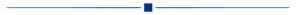 Section divider dark blue line